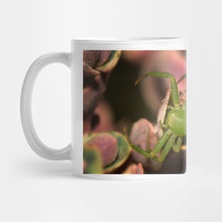 Green Jumping Spider Mug